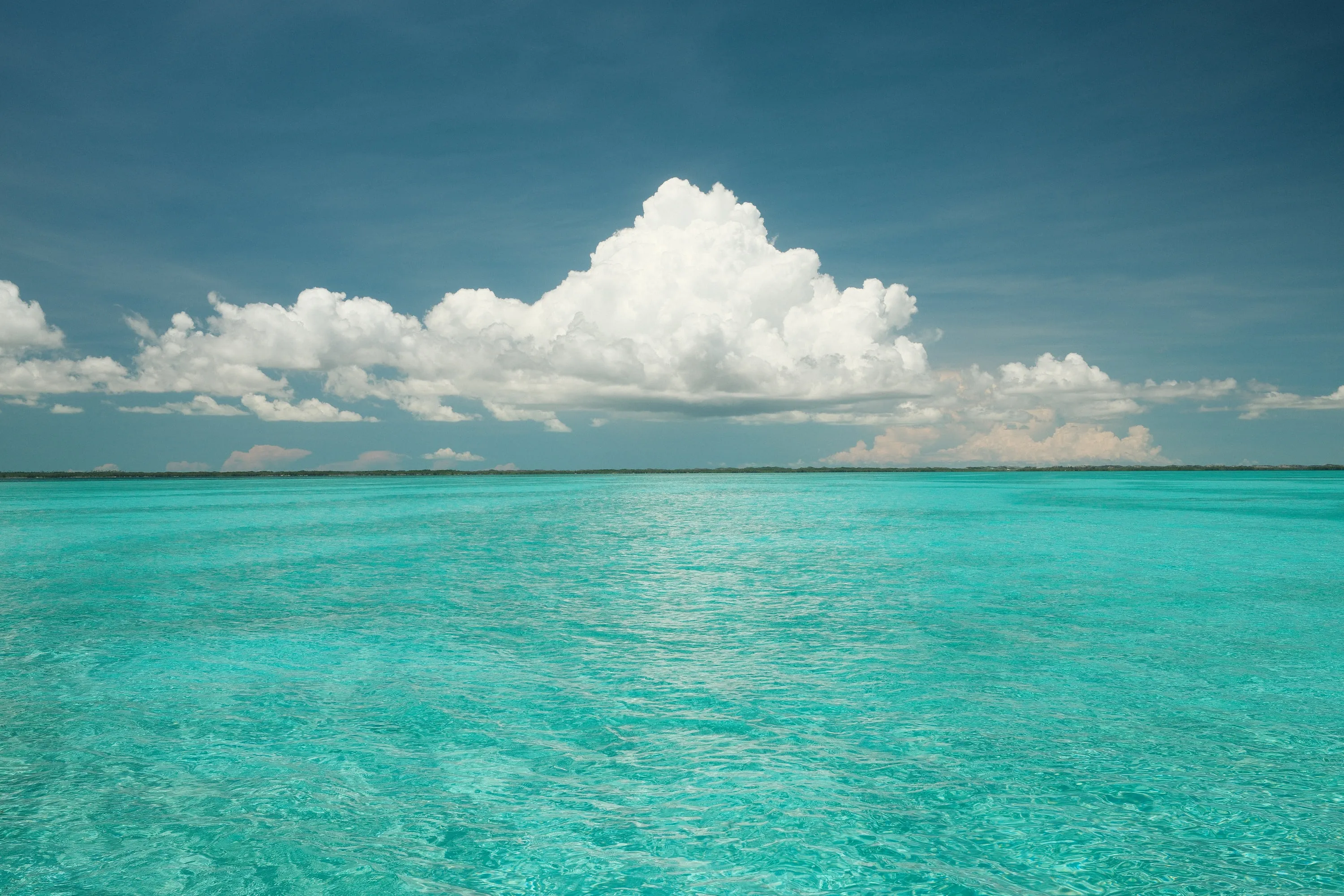A bank of cloud sitting along the horizon.