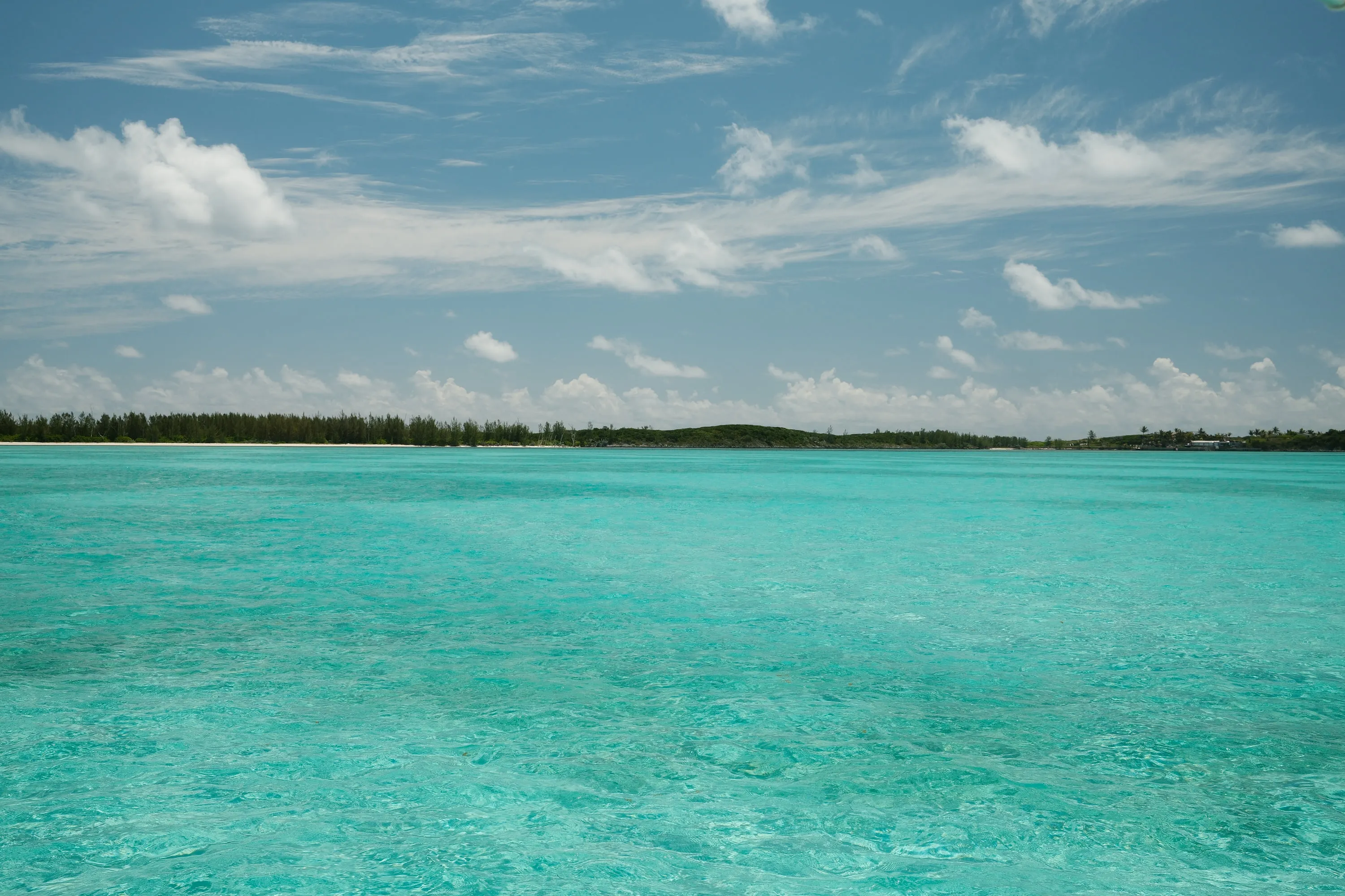 The far shore, low and green across the water.
