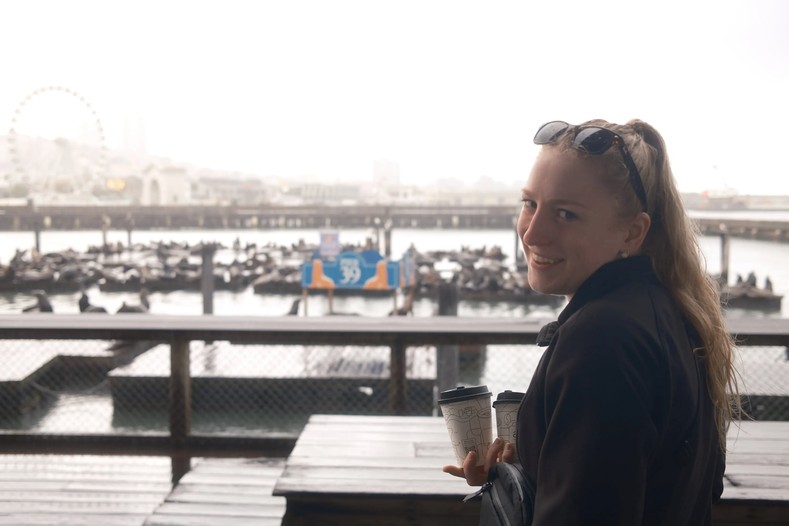 Coffee on the pier, sea lions carrying on behind.