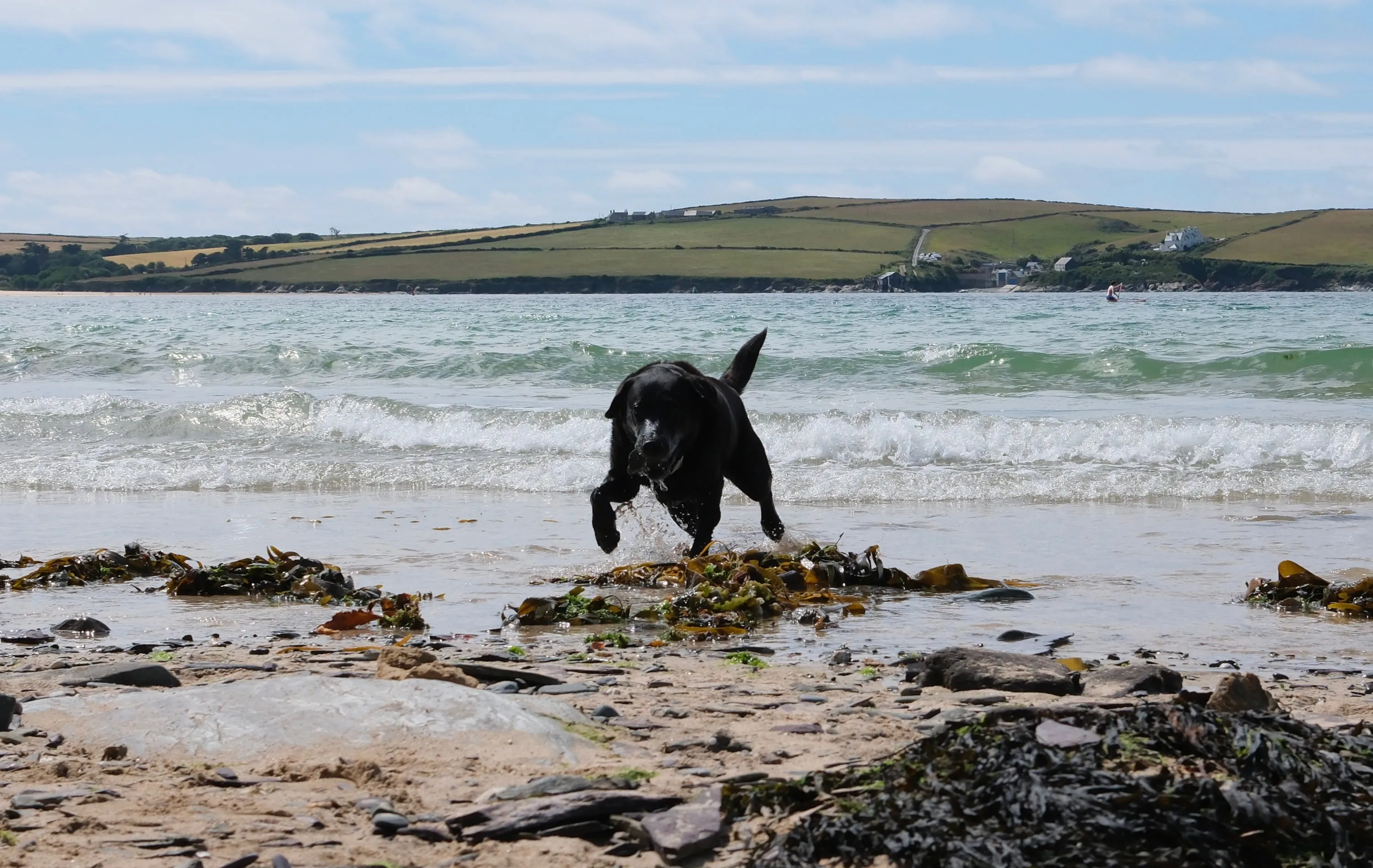 Clearing the shallows at full stretch.