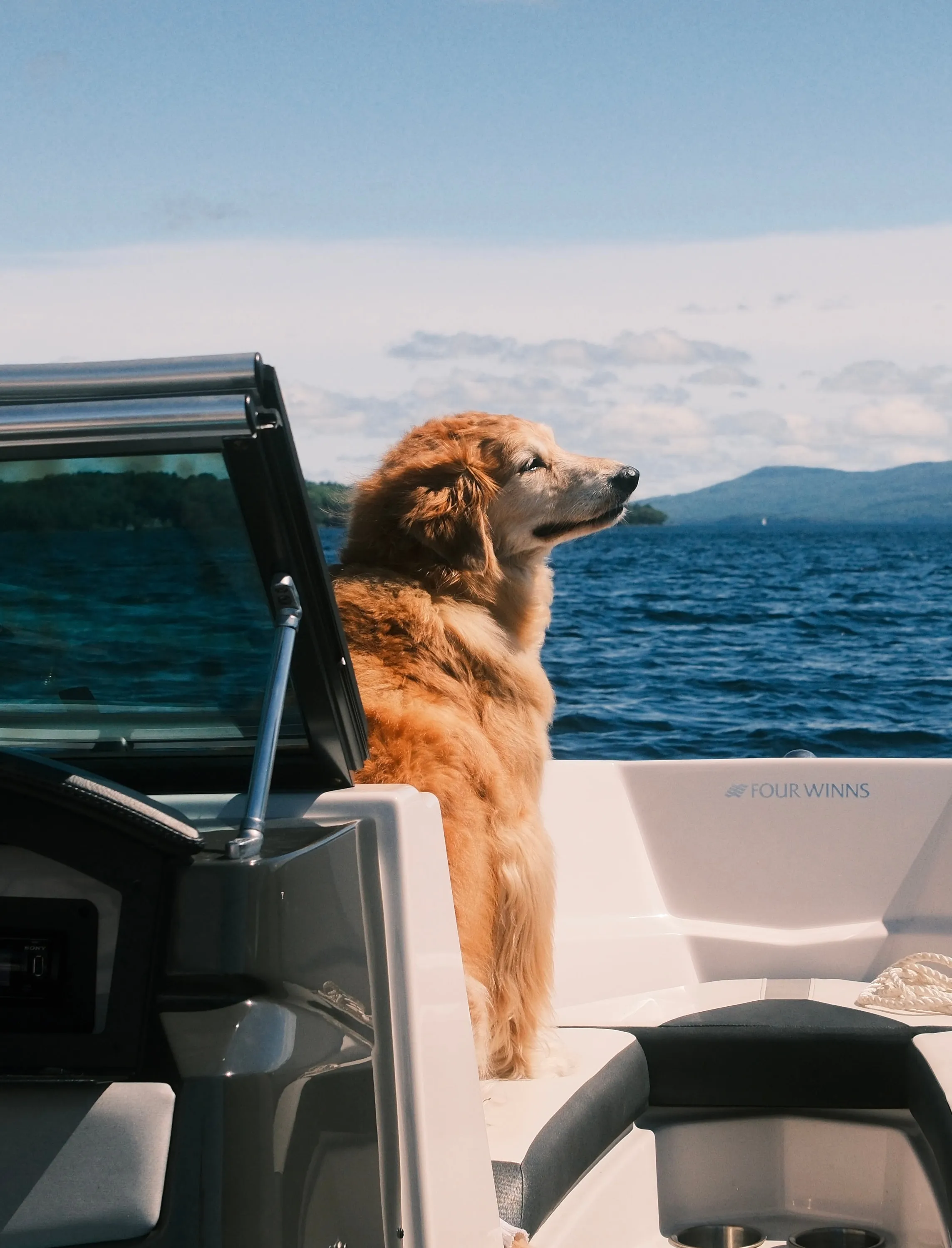 Front seat on the water, nose into the wind.