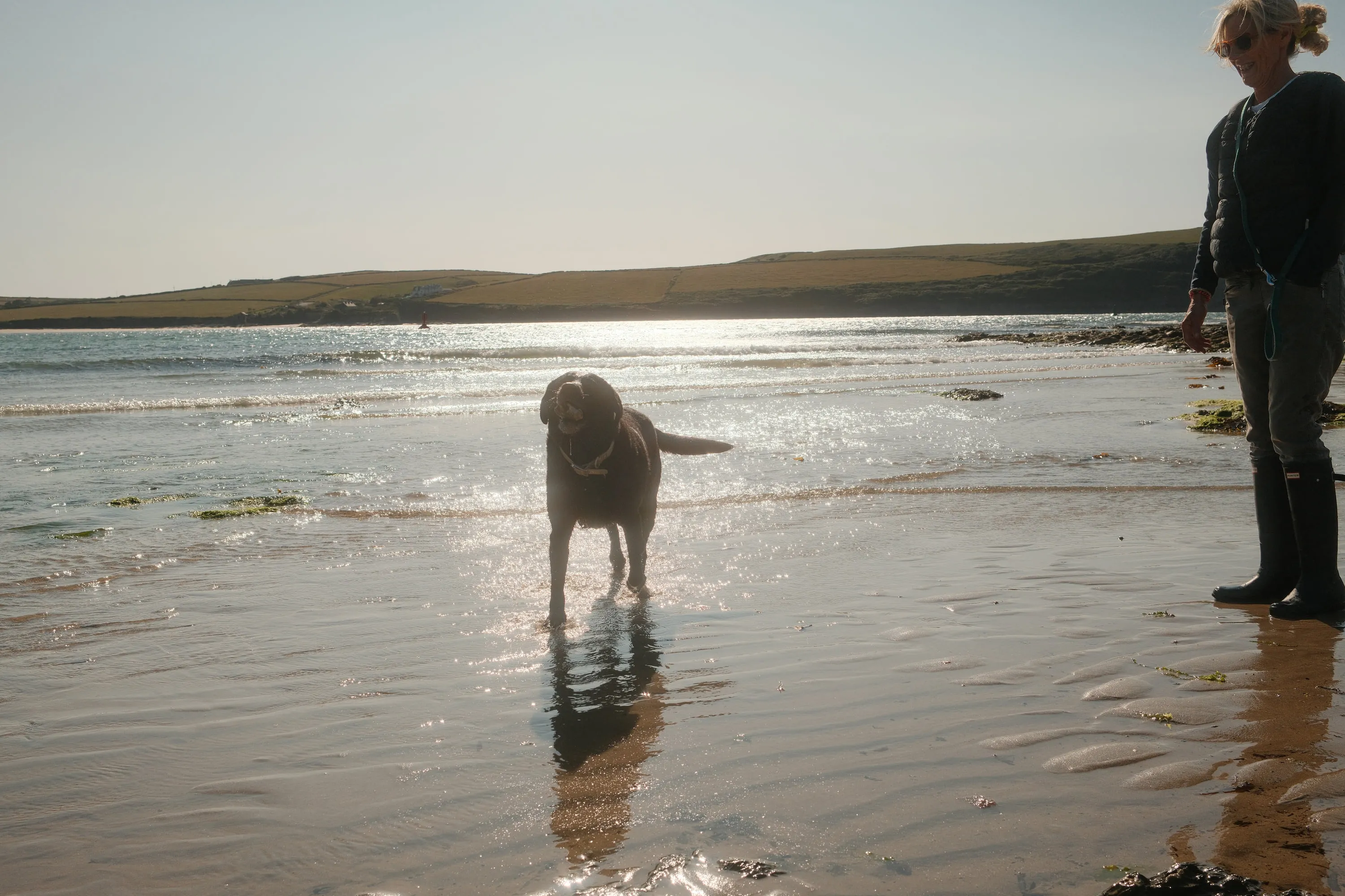Coming back through the shallows, into the light.